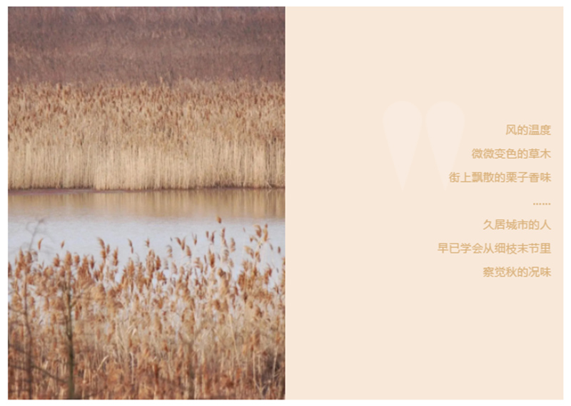 CIELOBLU | 基路伯「奶咖色」，為生活注入一份甜(圖1)